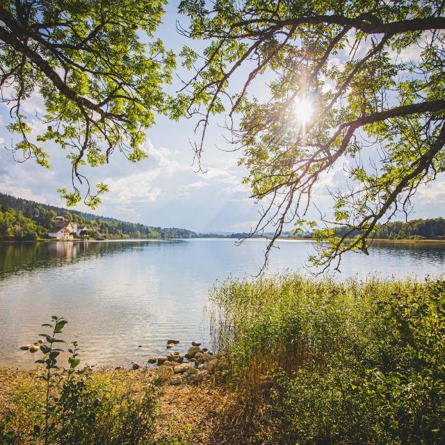 Justine & Maxime, Saint Lupicin et Lac de l'Abbaye, photo 10